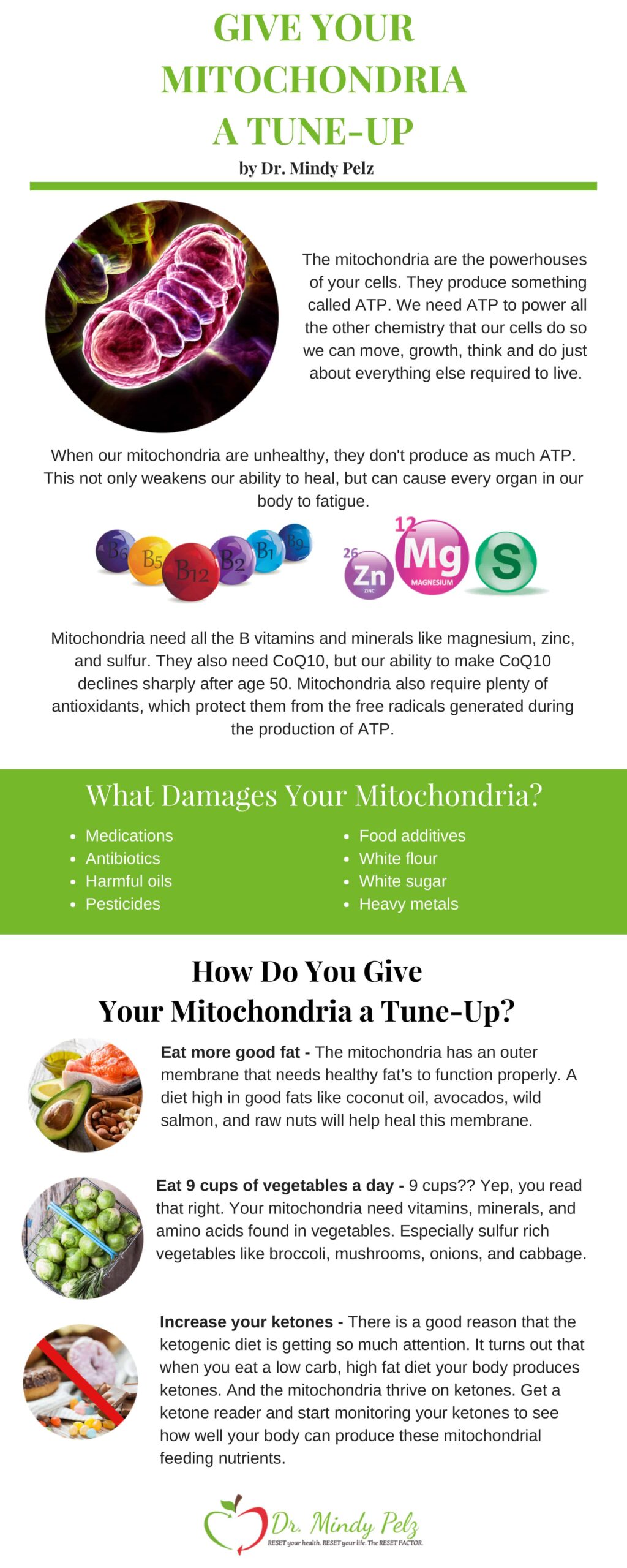 your mitochondria