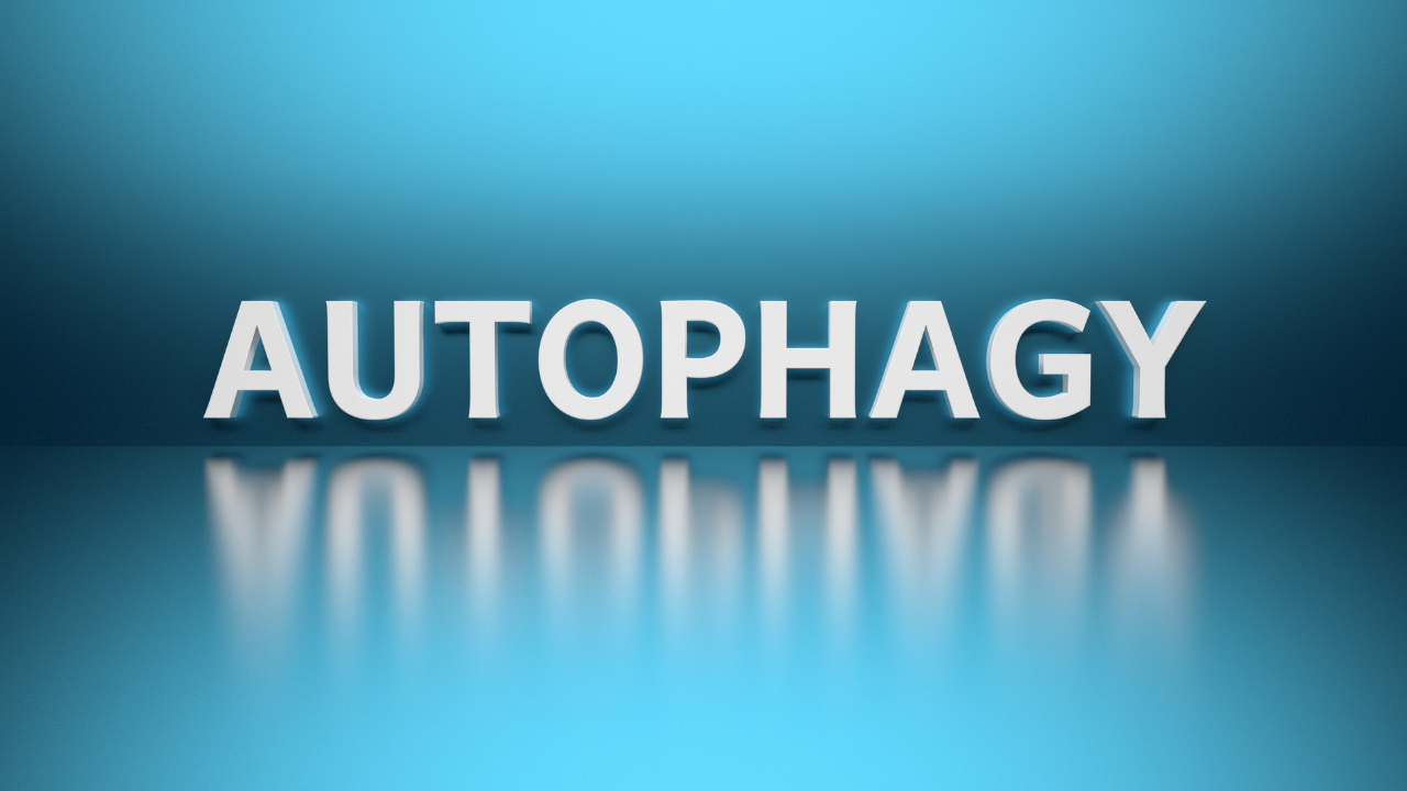 autophagy 101